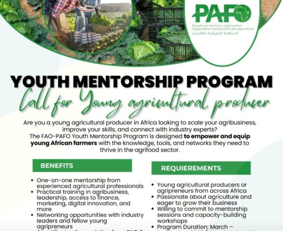 FAO-PAFO Youth Mentorship Program