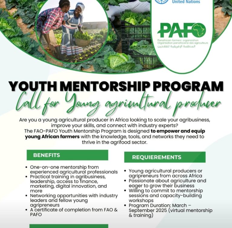 FAO-PAFO Youth Mentorship Program