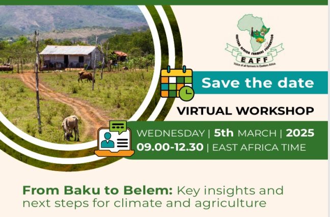 AICCRA and EAFF: Key Insights and Next Steps for Climate and Agriculture