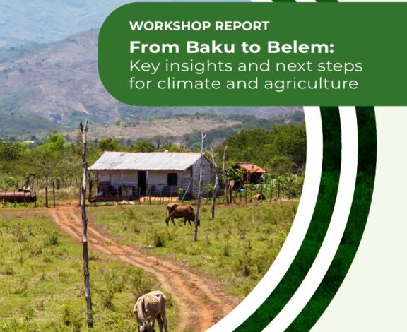 "EAFF Participates in Global Workshop: From Baku to Belem – Key Insights and Next Steps for Climate and Agriculture"