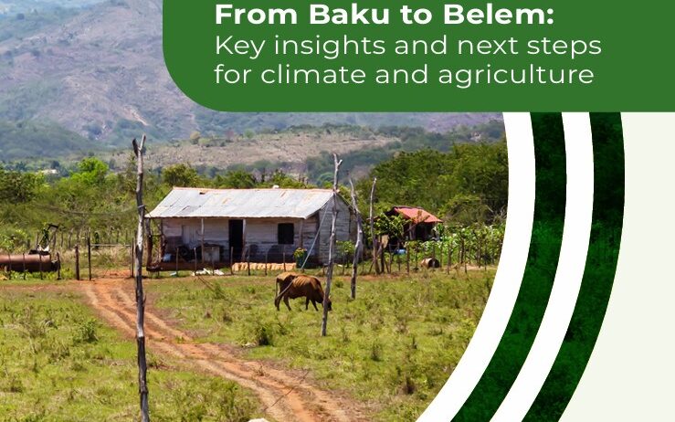 "EAFF Participates in Global Workshop: From Baku to Belem – Key Insights and Next Steps for Climate and Agriculture"