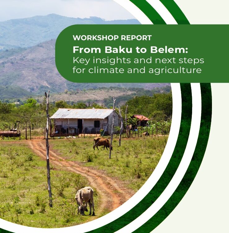 "EAFF Participates in Global Workshop: From Baku to Belem – Key Insights and Next Steps for Climate and Agriculture"