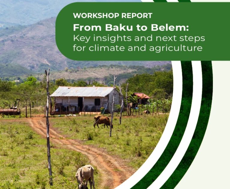 "EAFF Participates in Global Workshop: From Baku to Belem – Key Insights and Next Steps for Climate and Agriculture"