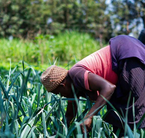 We enhance the capabilities of our member platforms through training, partnerships, and establishing linkages with private sector entities. This includes access to essential services such as financing, insurance, and agricultural inputs and outputs.
