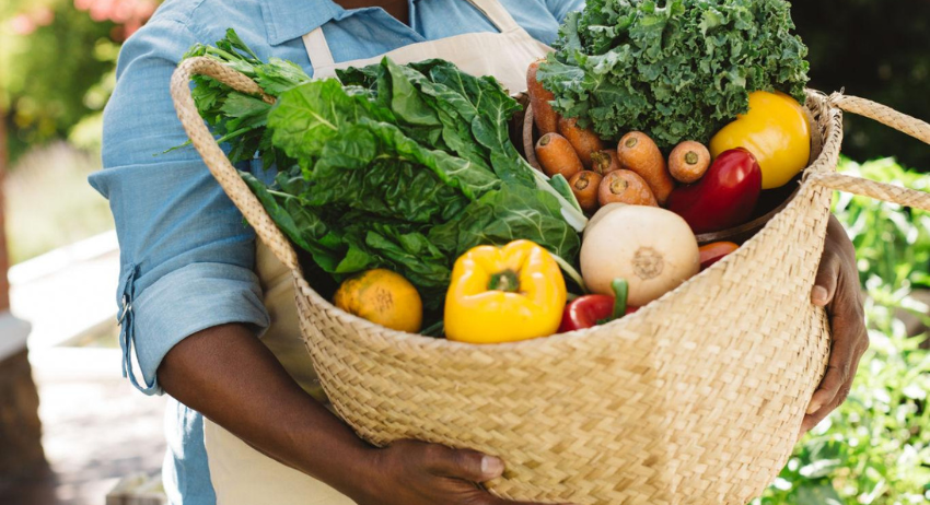 Celebrating the beauty and abundance of fruit harvests nurtured by sustainable care.