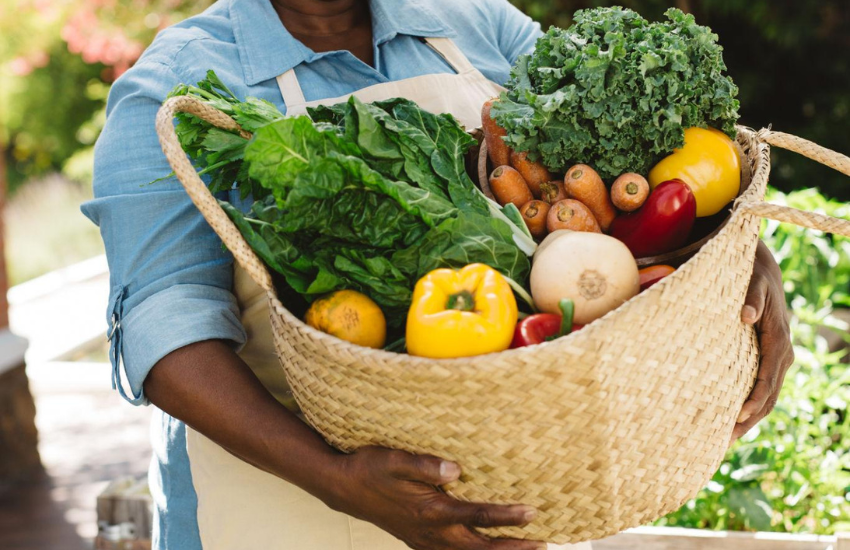 Celebrating the beauty and abundance of fruit harvests nurtured by sustainable care.